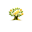 MoneyVraksh Logo